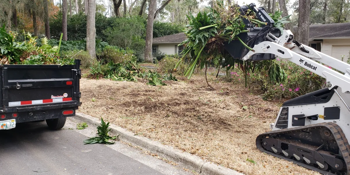 Overgrown yard before cleanup