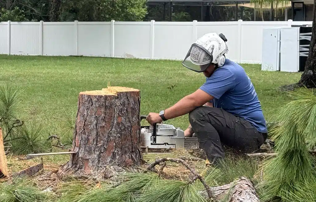 Tree stump being removed from a lawn